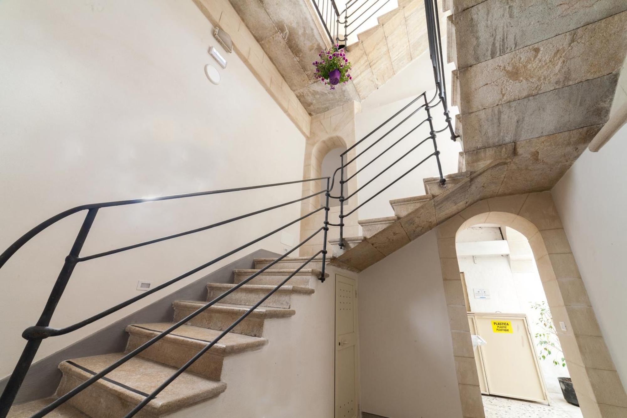 Fardella 250 Trapani